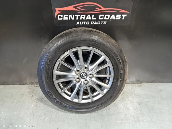 Wheel Mag
