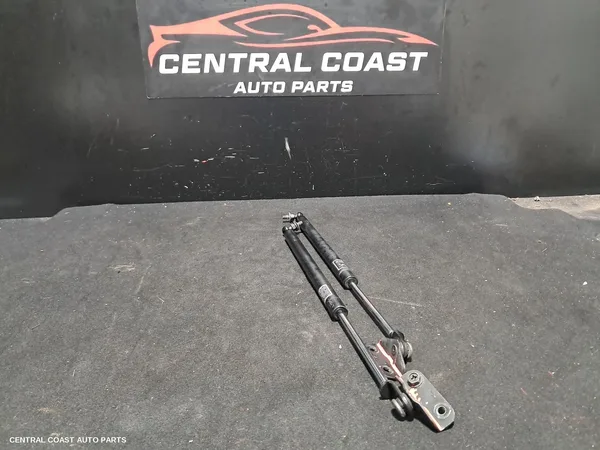 Bonnet Hinge/Strut
