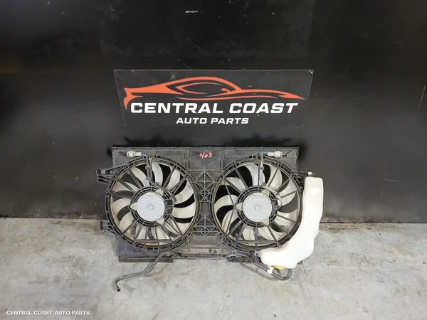 Fan