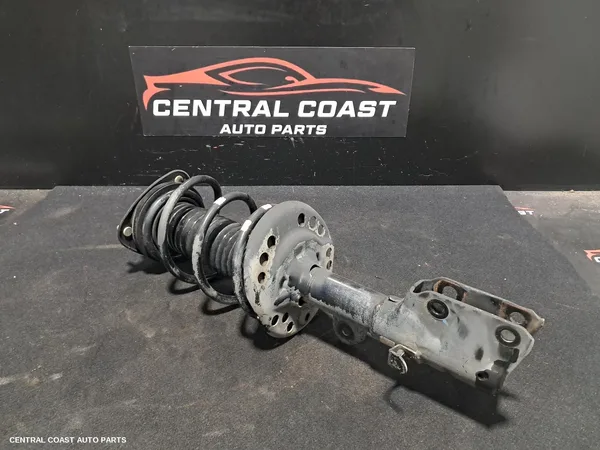 Left Front Strut