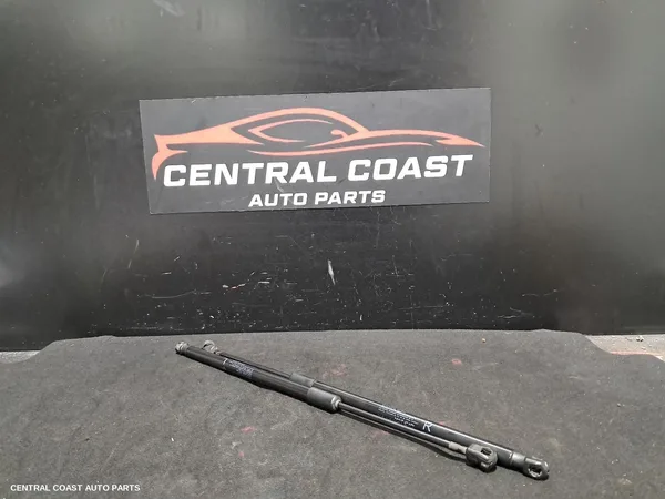 Hatch Strut