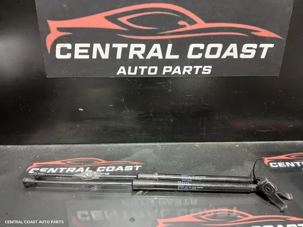 Bonnet Hinge/Strut