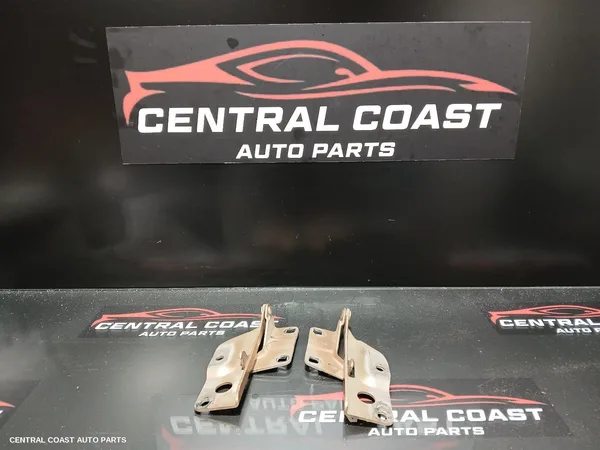 Bonnet Hinge/Strut