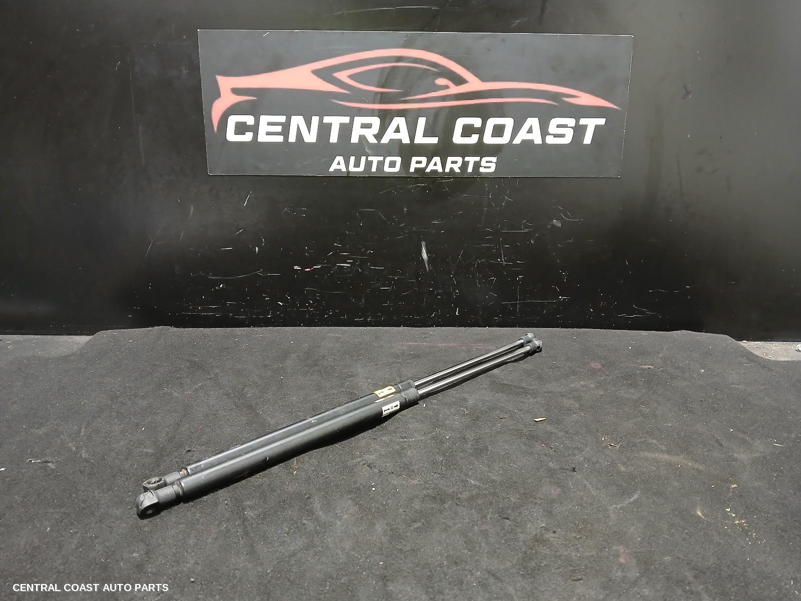 Hatch Strut