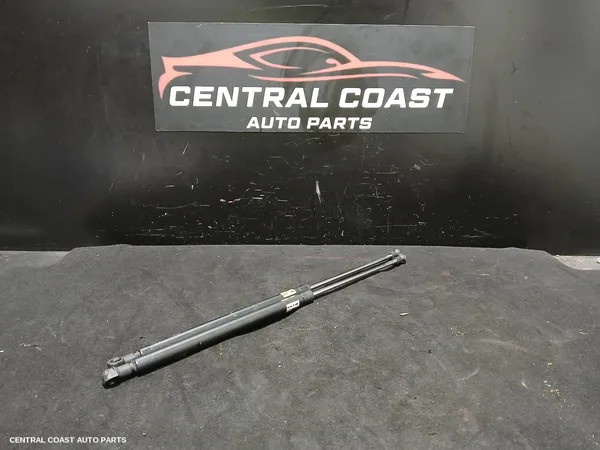 Hatch Strut