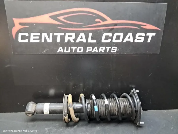 Left Rear Strut