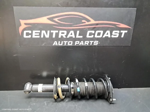 Right Rear Strut