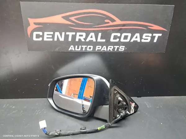Left Door Mirror