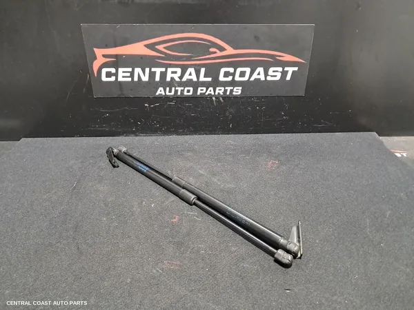 Bonnet Hinge/Strut