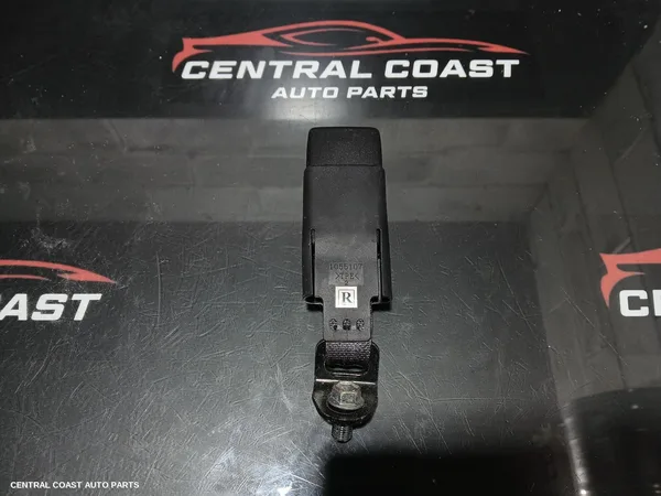 Seatbelt/Stalk