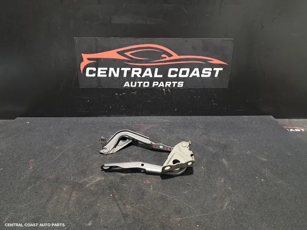 Bonnet Hinge/Strut