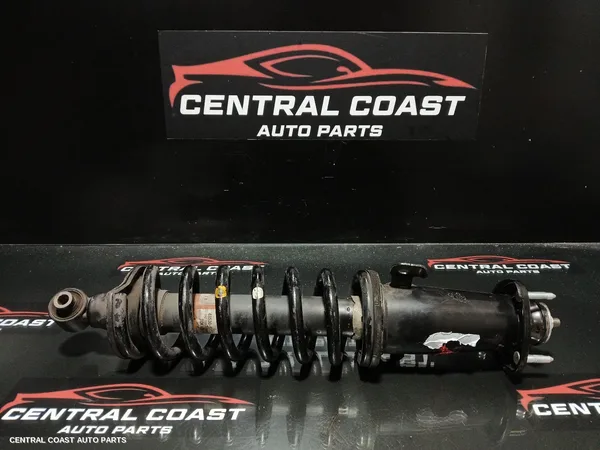 Left Rear Strut