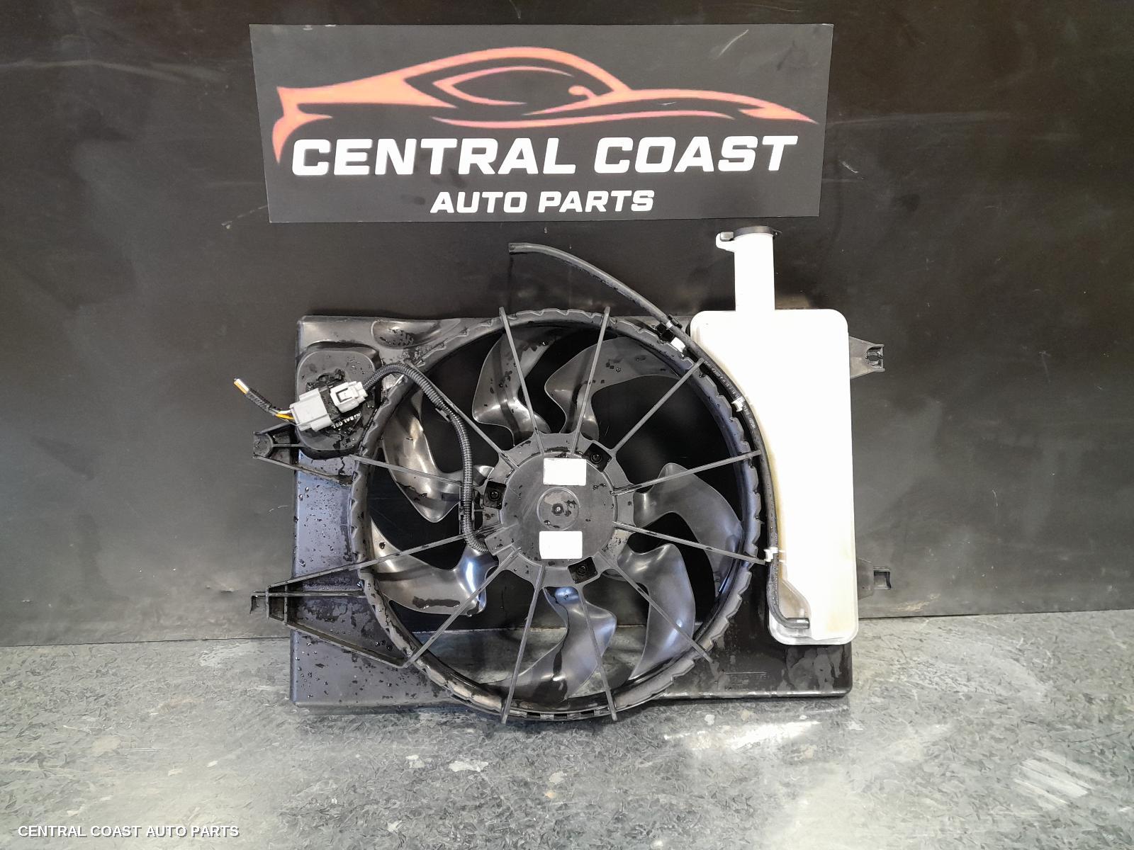 Fan