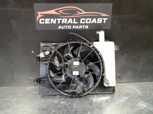 Fan