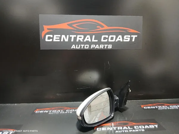 Left Door Mirror