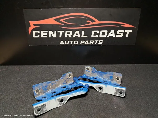 Bonnet Hinge/Strut