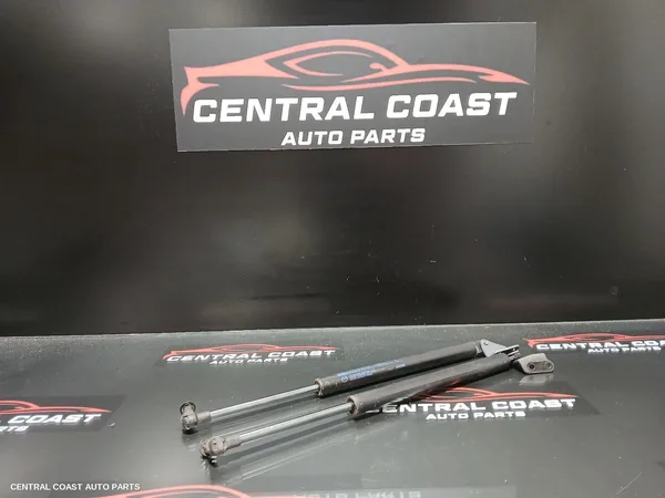 Hatch Strut