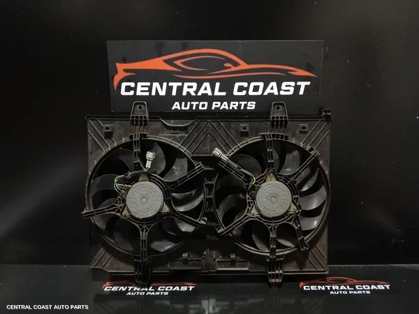 Fan