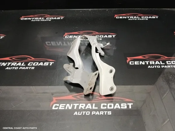 Bonnet Hinge/Strut