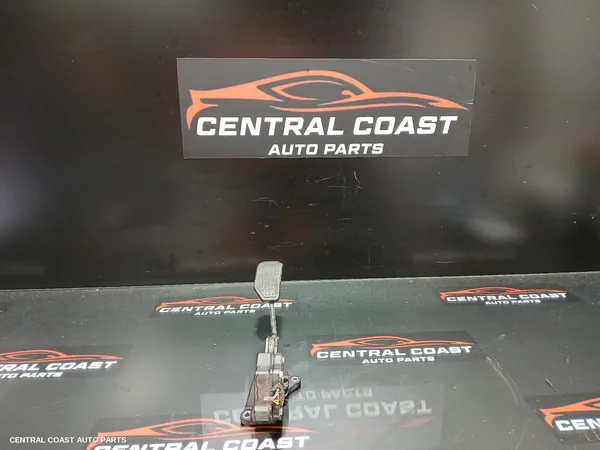 Pedal Assembly