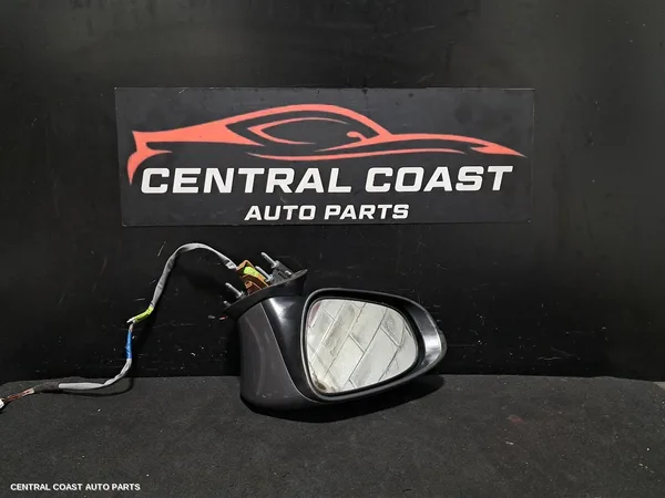 Left Door Mirror