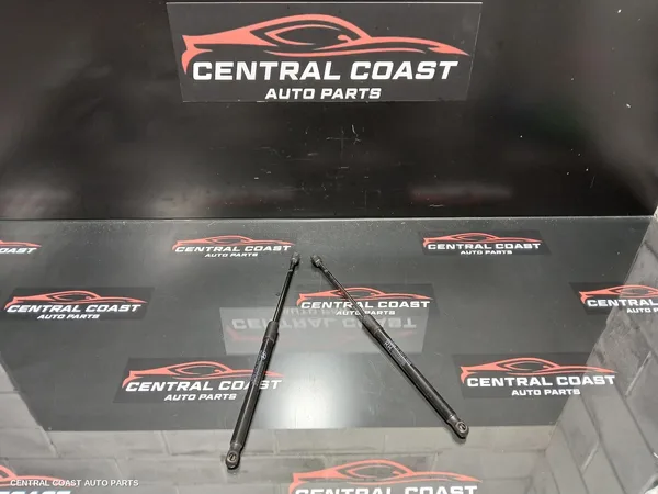 Bonnet Hinge/Strut
