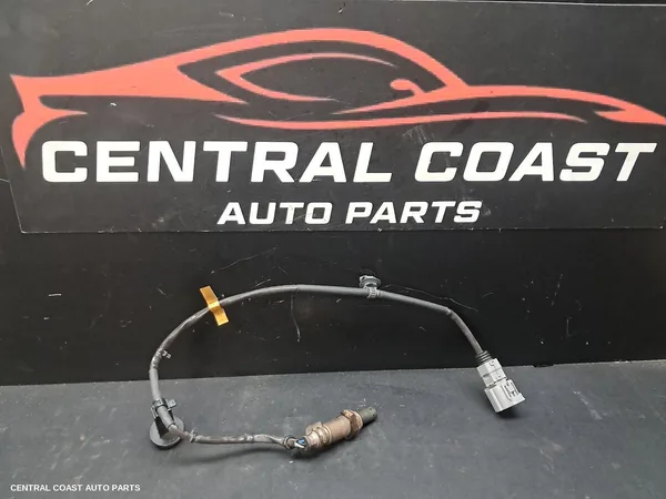Oxygen Sensor