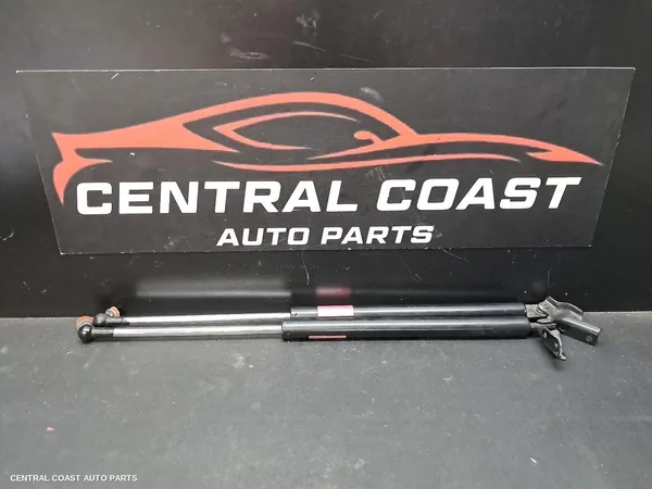 Hatch Strut