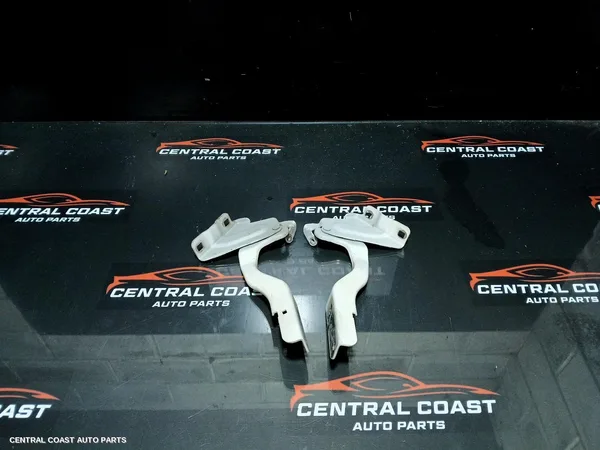 Bonnet Hinge/Strut