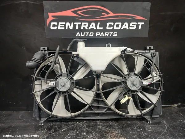Fan