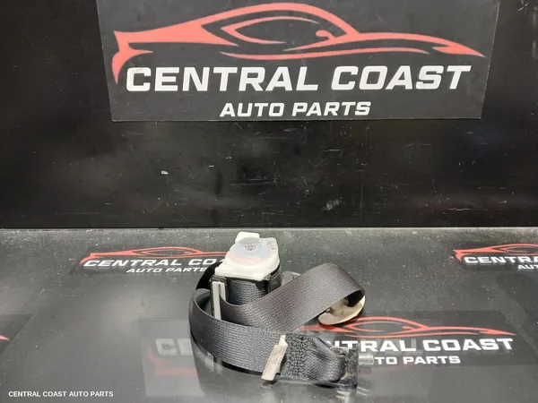 Seatbelt/Stalk
