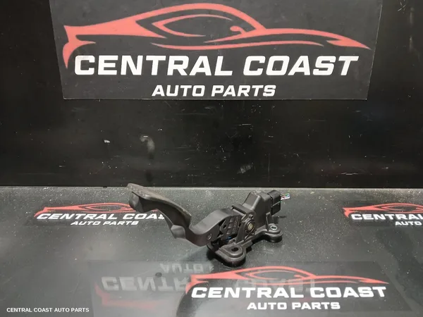 Pedal Assembly