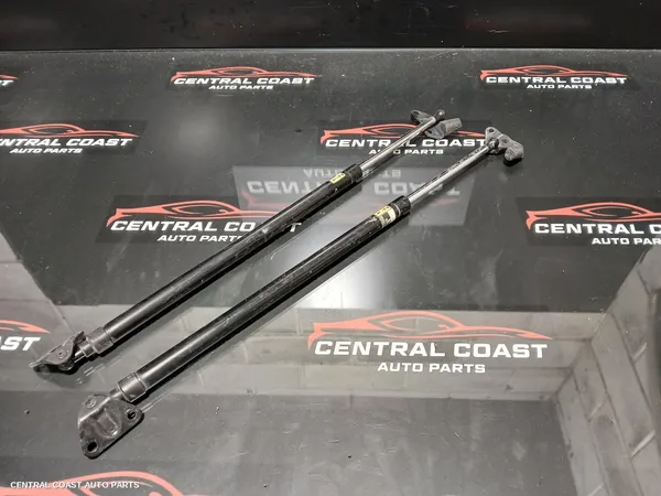 Hatch Strut
