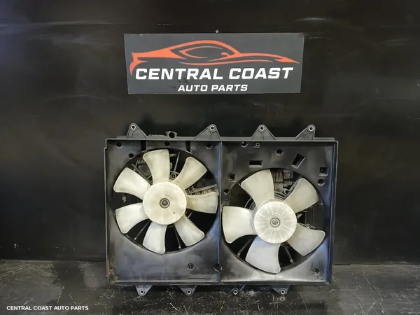 Fan
